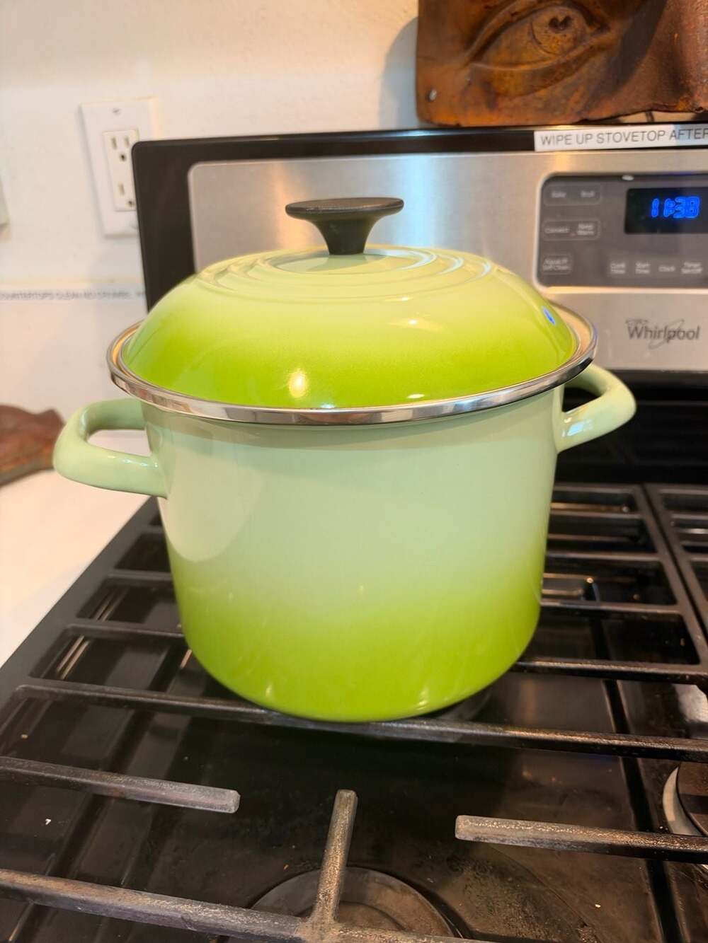 Le Creuset Enamel-on-Steel Stockpot Green Palm